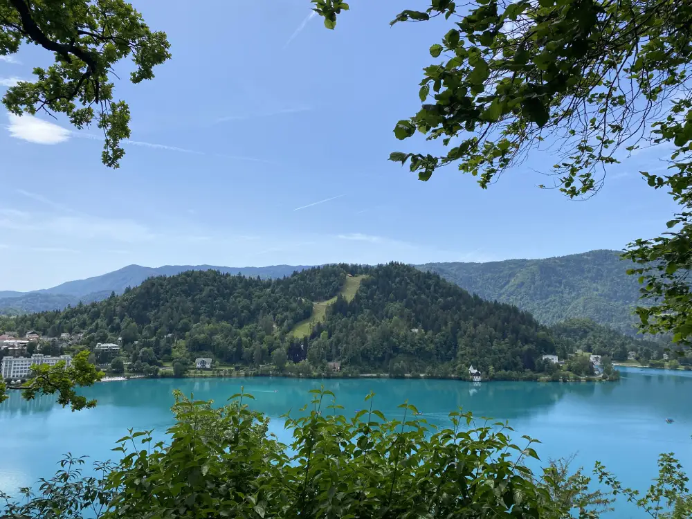 Bled